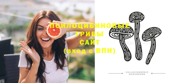 PSILOCYBIN Балабаново