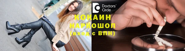 сатива Арсеньев