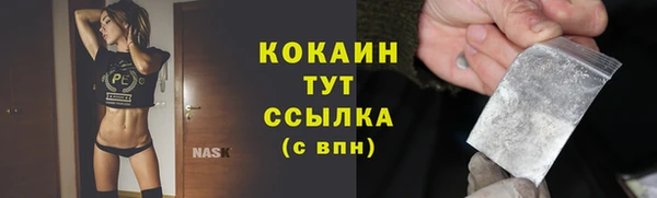 сатива Арсеньев