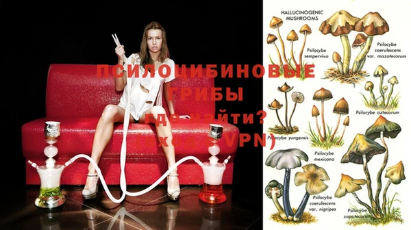 PSILOCYBIN Балабаново