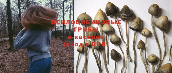 спиды Армянск